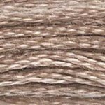 841 Beige Brown Light- 6 Strand Floss