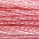 899 Rose Medium- 6 Strand Floss