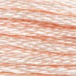 948 Peach Very Light- 6 Strand Floss