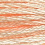 951 Tawny Light- 6 Strand Floss