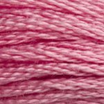 962 Dusty Rose Medium- 6 Strand Floss
