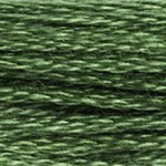 987 Forest Green Dark- 6 Strand Floss