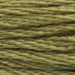 3012 Khaki Green Medium- 6 Strand Floss