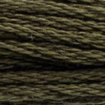 3021 Brown Gray Very Dark- 6 Strand Floss