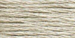 3024 Brown Gray Very Light- 6 Strand Floss
