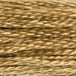3045 Yellow Beige Dark- 6 Strand Floss