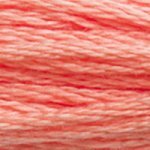 3341 Apricot- 6 Strand Floss