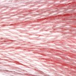 3716 Dusty Rose Very Light- 6 Strand Floss
