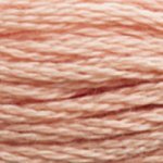 3771 Peach Dark- 6 Strand Floss