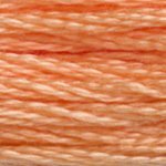 3825 Pumpkin Pale- 6 Strand Floss