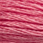 3833 Raspberry Light- 6 Strand Floss