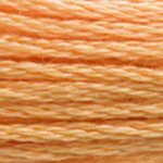3854 Autumn Gold Medium- 6 Strand Floss