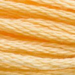 3855 Autumn Gold Light- 6 Strand Floss