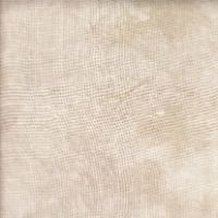 Faun - 36 Hand Dyed Linen - Picture This Plus
