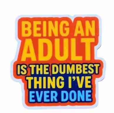 Needleminder- Being an Adult