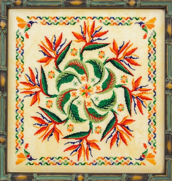 Strelitzia (The Bird of Paradise)