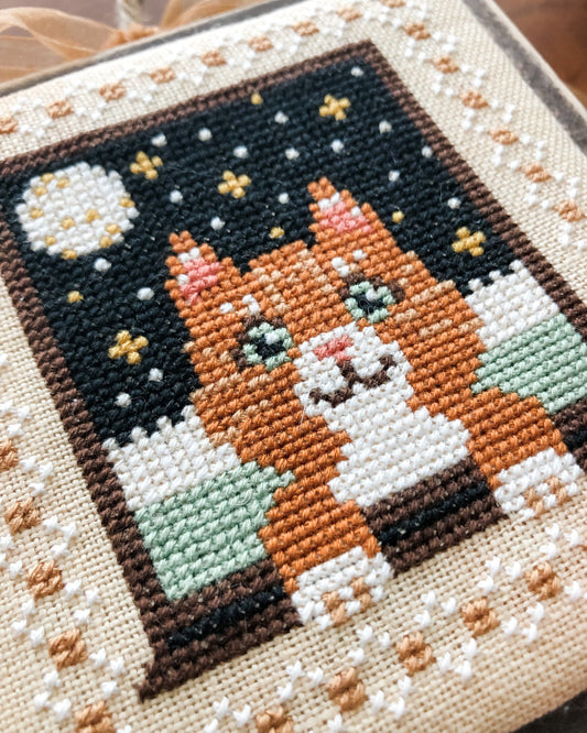 Meow at the Moon