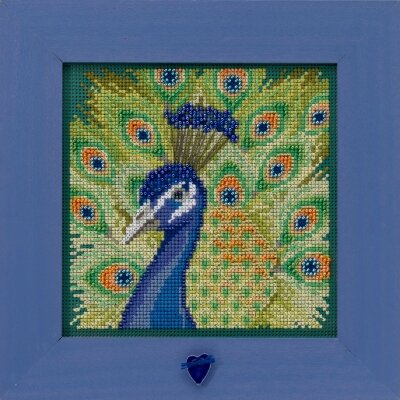 Proud Peacock
