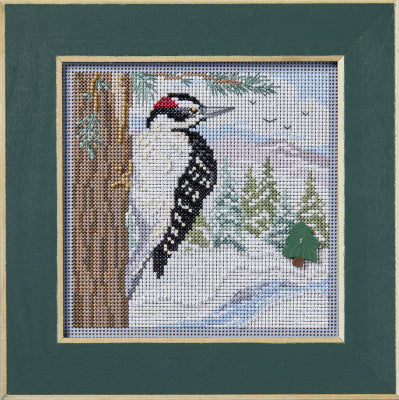 Winter Woodpecker