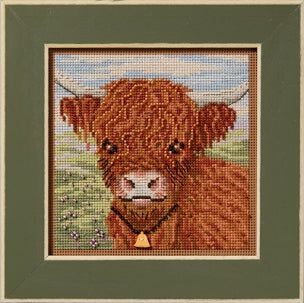 Highland Cow