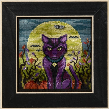 Spooky Cat