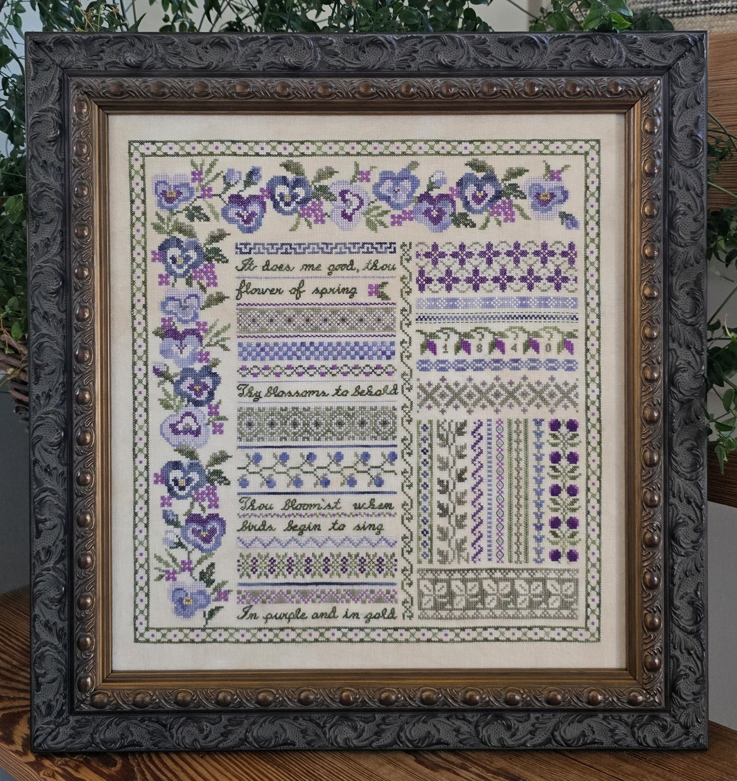 Pansy Garden