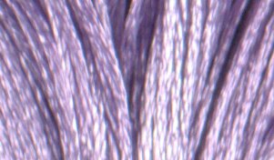 S211 Lavender - Satin Floss
