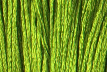 S471 Avocado Green Very Light - Satin Floss