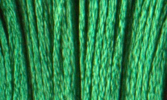 S702 Kelly Green - Satin Floss