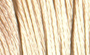 S739 Tan - Satin Floss