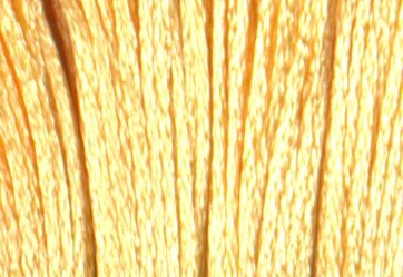 S744 Yellow - Satin Floss