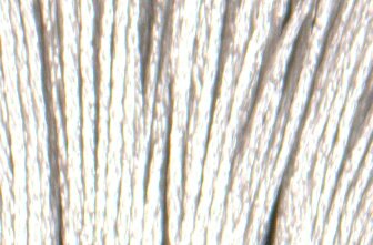 S762 Pearl Grey - Satin Floss