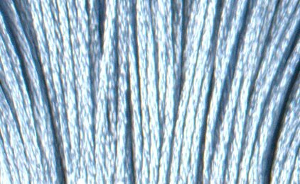 S800 Delft Blue Pale - Satin Floss