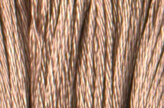 S841 Beige Brown - Satin Floss