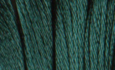S991 Aquamarine Dark - Satin Floss