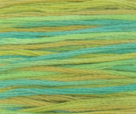 4050 Roaming Pastures - Color Variations Floss