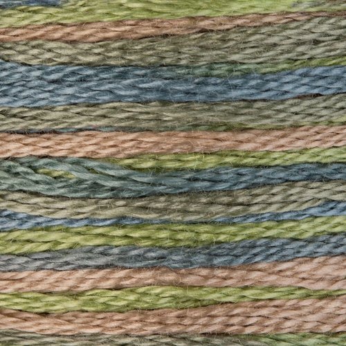 4065 Morning Meadow - Color Variations Floss