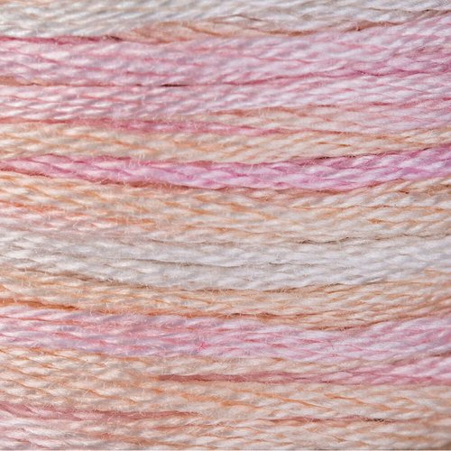 4170 Whispering Wind - Color Variations Floss