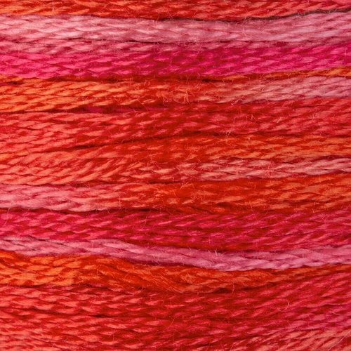 4200 Wild Fire - Color Variations Floss