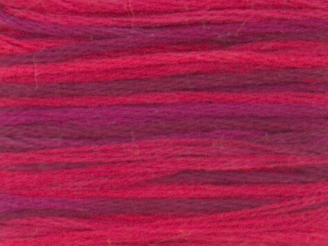 4210 Radiant Ruby - Color Variations Floss