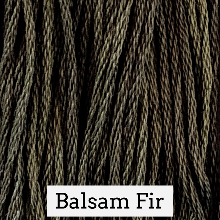 Balsam Fir 157