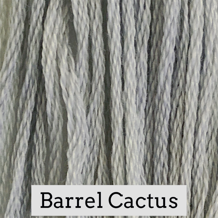 Barrel Cactus 031