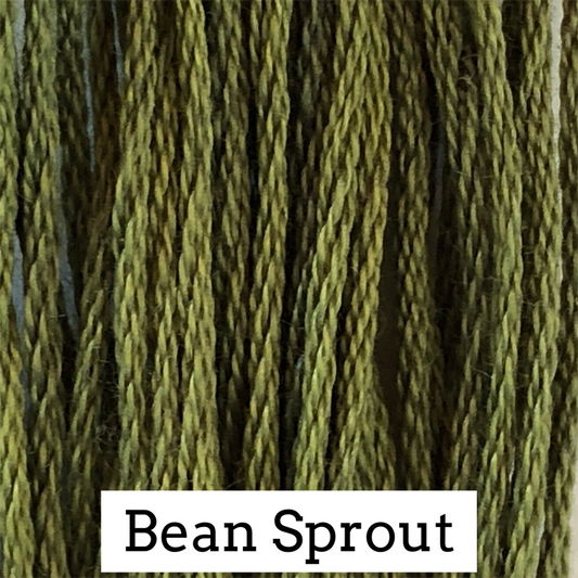 Bean Sprout 184