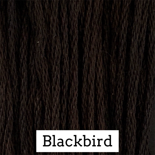 Blackbird 164
