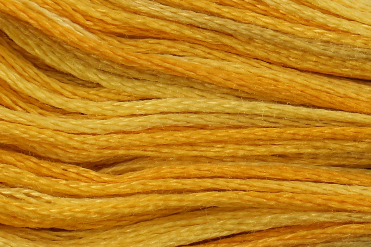 4075 Wheat Fields - Color Variations Floss
