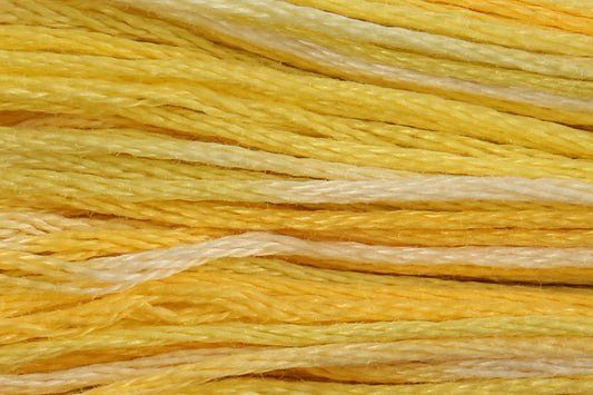 4080 Daffodil Fields - Color Variations Floss