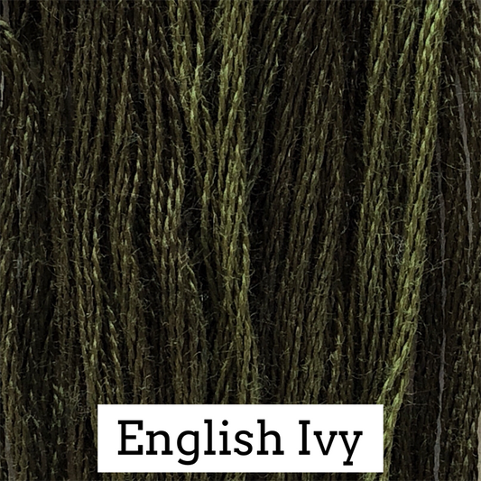English Ivy 179