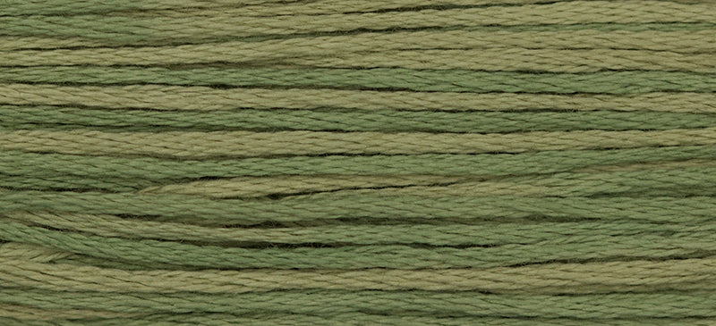 Artichoke 1183