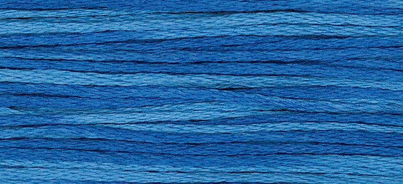 Blue Bonnet 2339