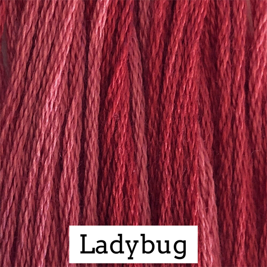 Ladybug 190
